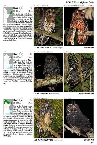 Guía Audiornis de las Aves de Argentina