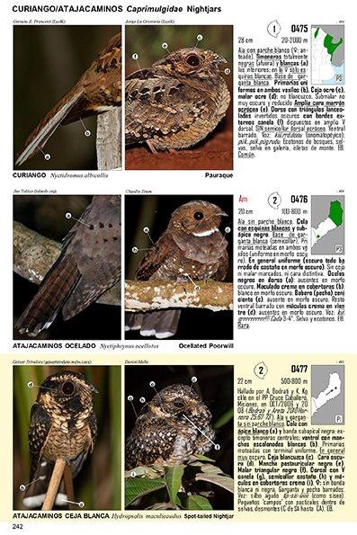 Guía Audiornis de las Aves de Argentina