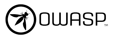 Conoce el OWASP Web Security Testing Guide (WSTG)