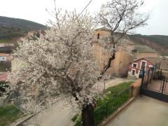 Esperando a la primavera