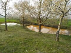 Esperando a la primavera