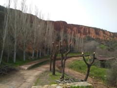 Esperando a la primavera