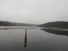 Esperando a la primavera