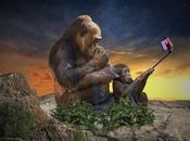 móviles mejor cámara 2021