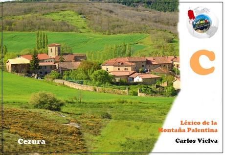 Caporal-carbonero Caporal-carbonero