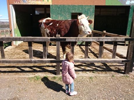 Escapada con niños a Monzón: que ver y que hacer en Monzón con niños Escapada con niños a Monzón: que ver y que hacer en Monzón con niños