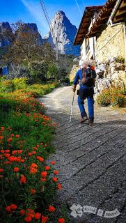 4.498 - LECHO DE FLORES... 4.498 - LECHO DE FLORES...