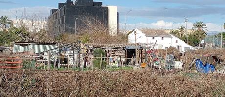 Imagen 19: En Benimaclet  sigue las mismas pautas que en otras ciudades y pueblos de la Comunidad Valenciana: Masías, casas y tierras  ocupadas, chabolas  construidas  en solares.