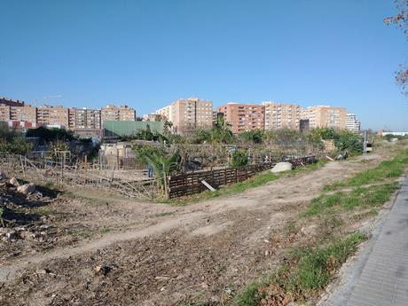 Imagen 12: En Benimaclet  sigue las mismas pautas que en otras ciudades y pueblos de la Comunidad Valenciana: Masías, casas y tierras  ocupadas, chabolas  construidas  en solares.