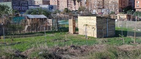 Imagen 10: En Benimaclet  sigue las mismas pautas que en otras ciudades y pueblos de la Comunidad Valenciana: Masías, casas y tierras  ocupadas, chabolas  construidas  en solares.