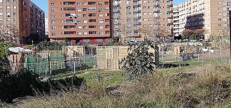 Imagen 14: En Benimaclet  sigue las mismas pautas que en otras ciudades y pueblos de la Comunidad Valenciana: Masías, casas y tierras  ocupadas, chabolas  construidas  en solares.