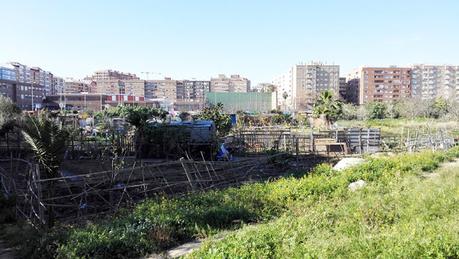 Imagen 9: En Benimaclet  sigue las mismas pautas que en otras ciudades y pueblos de la Comunidad Valenciana: Masías, casas y tierras  ocupadas, chabolas  construidas  en solares.