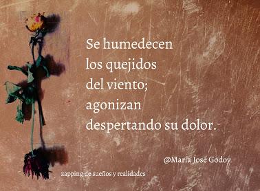 POEMAS VARIOS : ZAPPING DE SUEÑOS Y REALIDADES