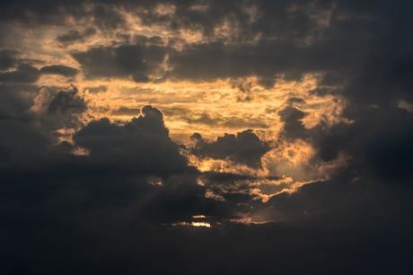 Triada Oscura de la Personalidad: Narcisismo, Maquiavelismo y Psicopatía