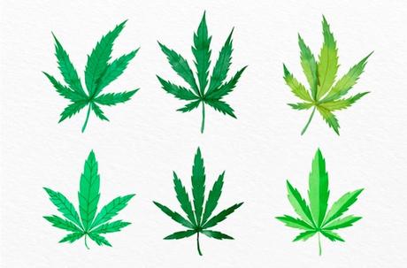 ¿Conoces la nueva tendencia del CBD? cbd medicina natural