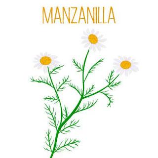 BENEFICIOS DE LA MANZANILLA