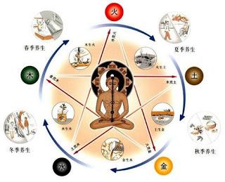 La Medicina Tradicional China La Medicina Tradicional China