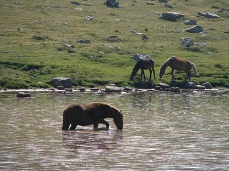 Laguna Negra de Urbión