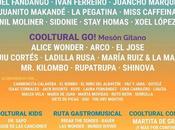 Cooltural llena Almería conciertos