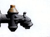 gota león