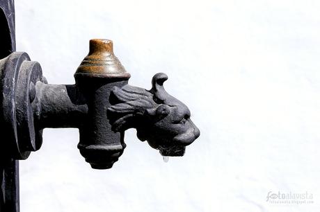 La gota del león - Fotografía