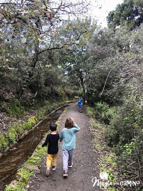 5 rutas de senderismo con niños cerca de Málaga