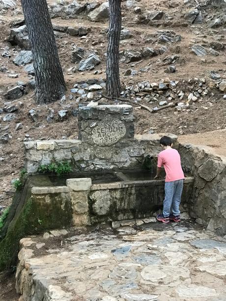 5 rutas de senderismo con niños cerca de Málaga