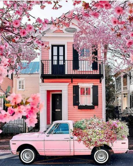 Tu Ángel de la Guarda