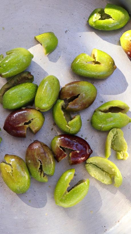 curar aceitunas verdes olive schiacciate