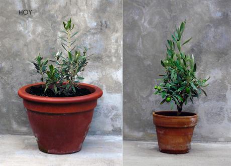 Concordia. Concordia.