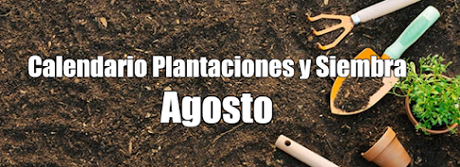 Calendario Plantaciones y Siembra Agosto