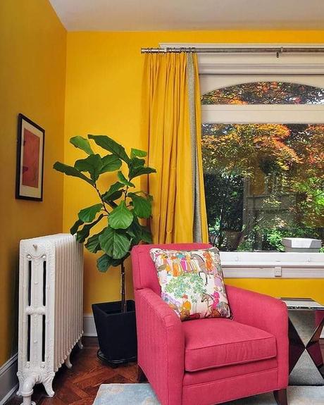 - Amarillo en Primavera. - Amarillo en Primavera.