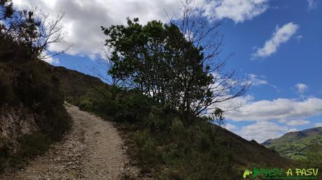 Pista saliendo de Corias de Arriba