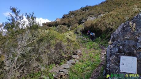 RUTA al PICO MATACALEAO desde BELMONTE Carteles informativos de la fauna en Belmonte