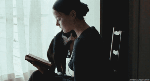 Reseña: Ley de Enfermedad 0 - MJ Moreno Reseña: Ley de Enfermedad 0 - MJ Moreno