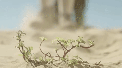 Reseña: Ley de Enfermedad 0 - MJ Moreno