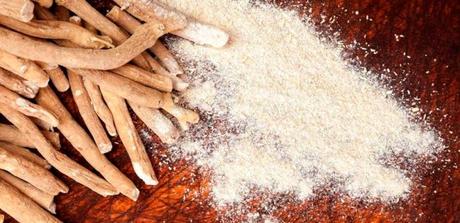 Ashwagandha: La planta adaptógena que batió récord de ventas en 2020 Ashwagandha: La planta adaptógena que batió récord de ventas en 2020