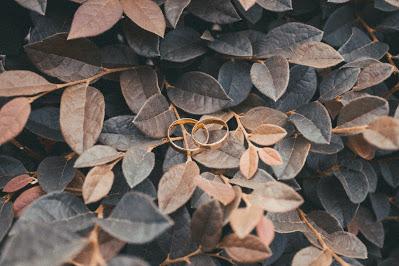 Alianzas de boda sobre hojas secas