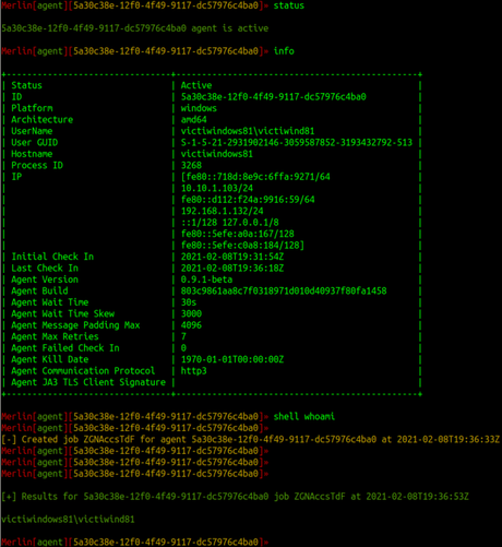 Merlin – Command and Control sobre HTTP/2 y QUIC para Red Team