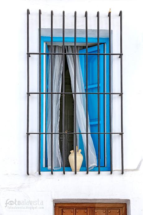 Botijo enrejado - Fotografía