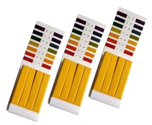 Guía paso a paso – Como hacer Kombucha casera tiras-ph