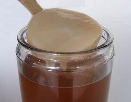 Guía paso a paso – Como hacer Kombucha casera scoby - hongo kombucha