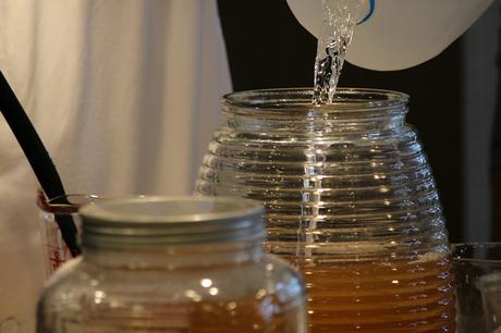 Guía paso a paso – Como hacer Kombucha casera hacer kombucha casera