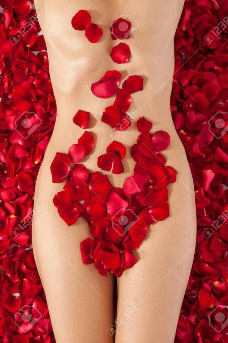 Sistema Reproductor (IV)