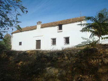 Despoblado Gandul, sitio para recorrer con historia