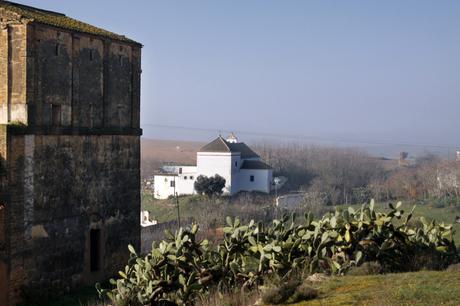 Despoblado Gandul, sitio para recorrer con historia