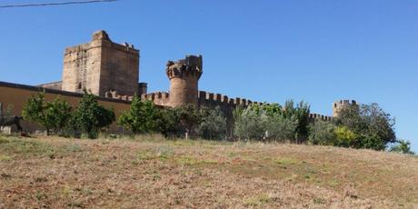 Despoblado Gandul, sitio para recorrer con historia