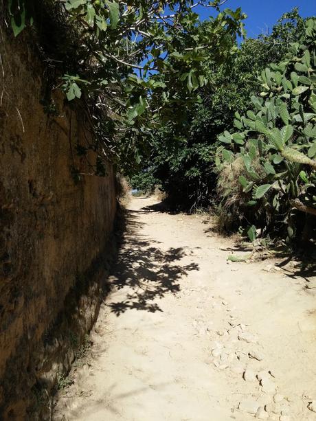 Despoblado Gandul, sitio para recorrer con historia