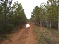 Verde y agua en la Transierra