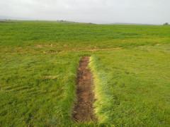 Verde y agua en la Transierra